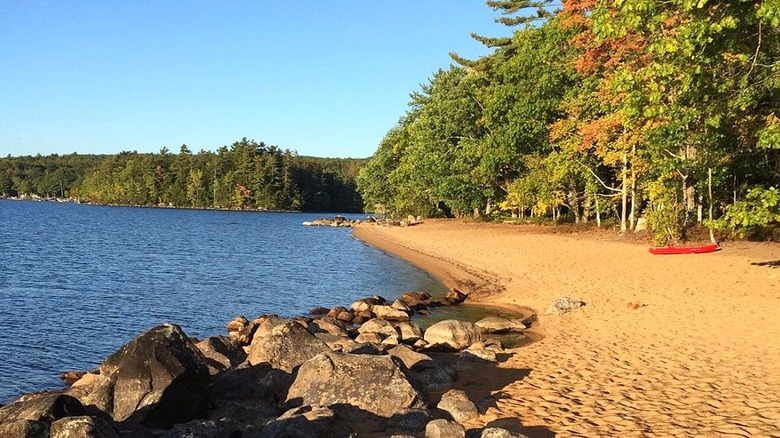A sandy beach along the shore of Sebago Lake with rocks and fall foliage