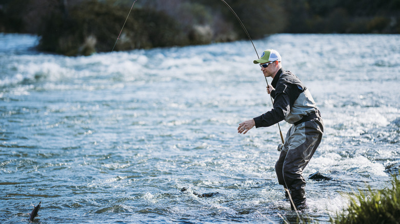 Angler fly fishing from riverbank