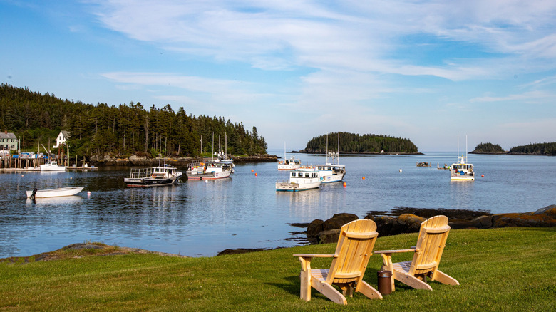 A view of Machias Seal Island with Adirondack chairs on the shoreline