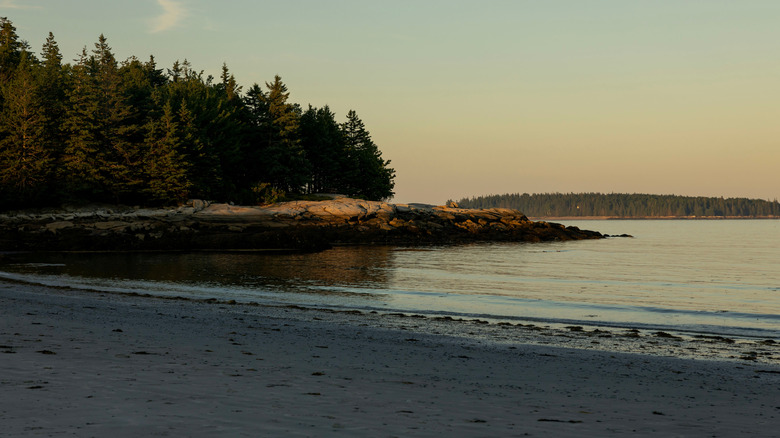 View of the beach at Birch Point State Park at sunset