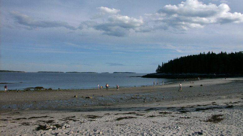 View of people walking on Birch Point State Park beach