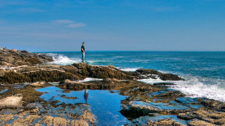 A man standing on the rocky shore at Two Lights State park