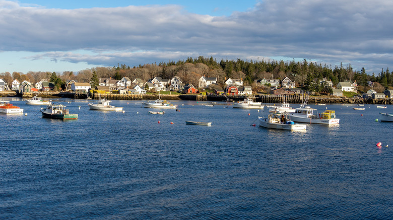 View of Vinalhaven harbor with boats and homes.