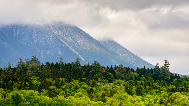 Mountain views over the woods in Katahdin Woods and Waters National Monument