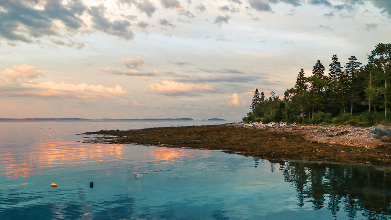 Sunset reflections at Hancock Point in Maine