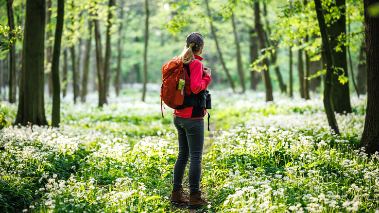 A hiker stands in the greenery of the woods in spring