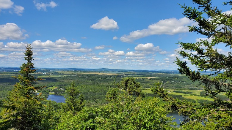 A scenic overlook at Aroostook State Park, Maine, near the town of Presque Isle