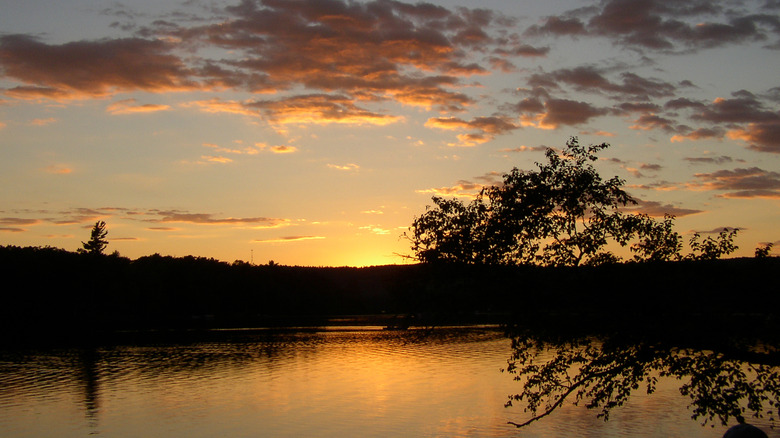 The sun rise over Lake St. George at Maine's Lake St. George State Park
