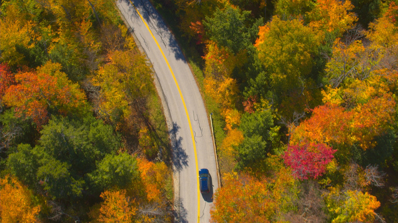 Aerial view of car on scenic road in Maine during autumn.