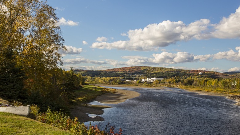 Golden hour over St. John River landscape in Maine