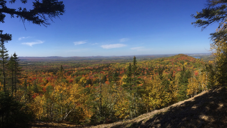 Views from Quaggy Jo Mountain in the fall in Aroostook State Park, Maine