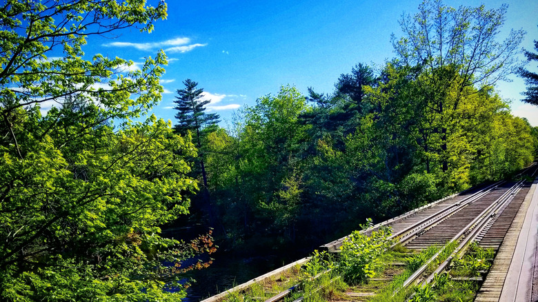Trestle along Mountain Division Trail
