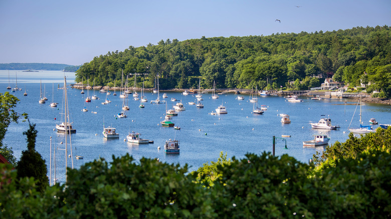Rockport Harbor with boats and trees