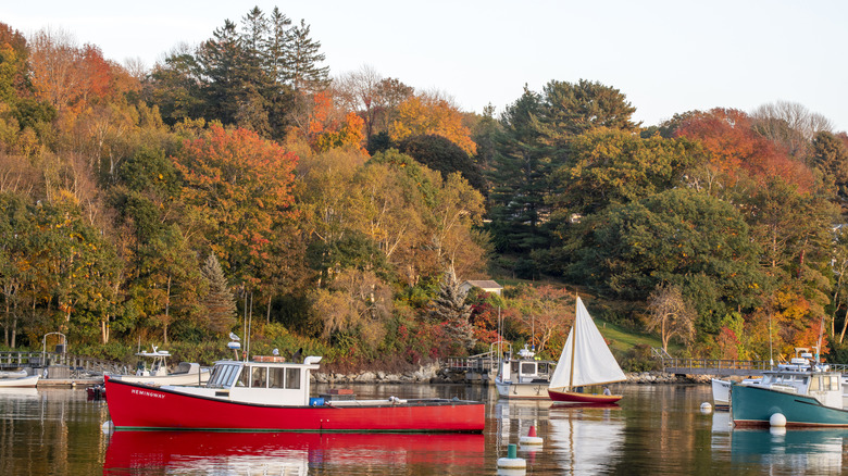 Boats in harbor with fall foliage
