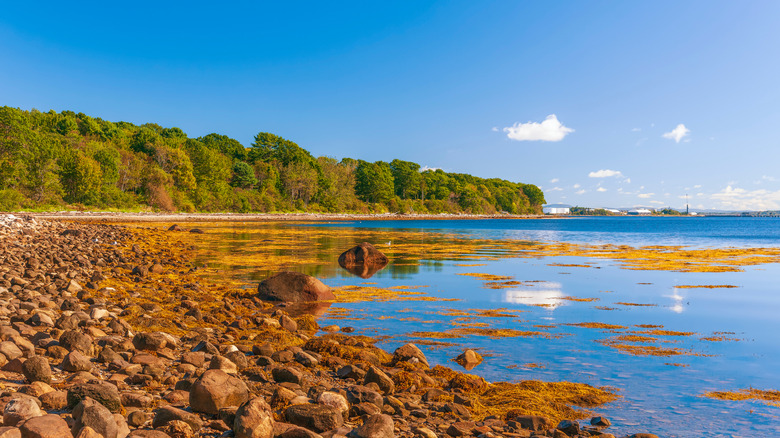 Penobscot Bay from Moose Point State Park in Maine
