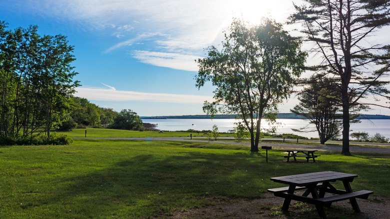 A picnic area at Moose Point State Park in Maine