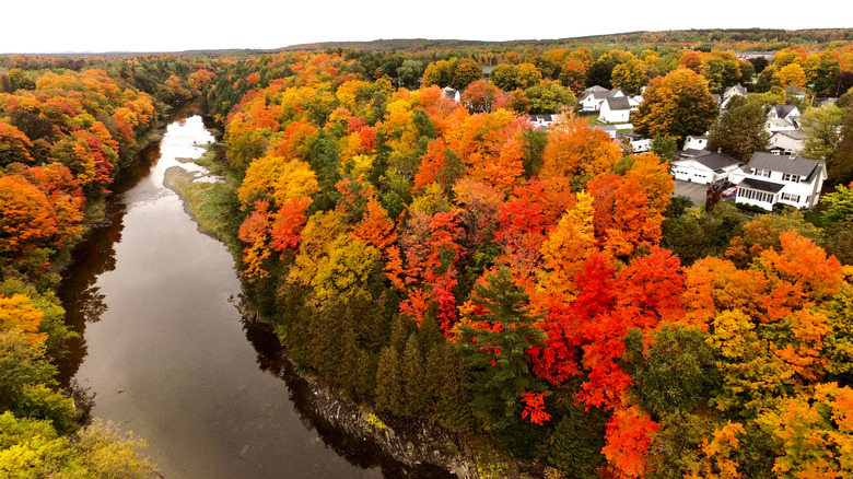 Fall foliage on the trees around a river in Houlton