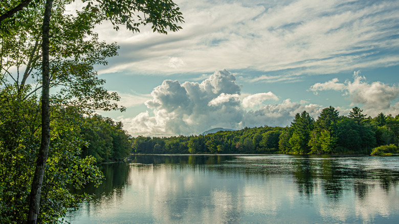 A view from a hike on Maine's Penobscot River Trails