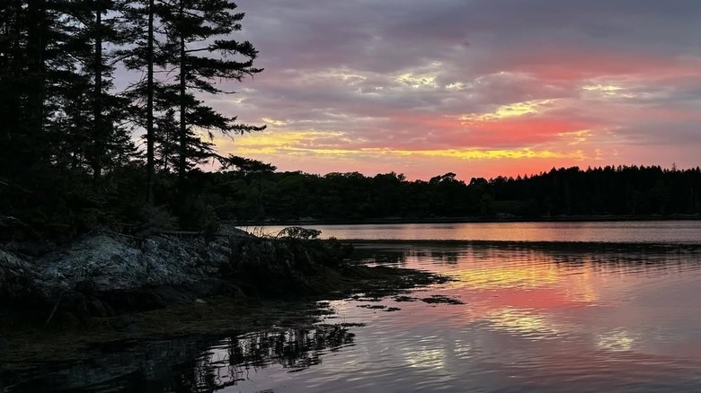 A beautiful sunrise at Holbrook Island Sanctuary