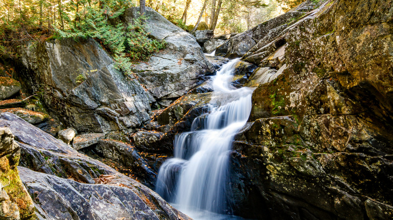 Cascading waterfall in Maine forest