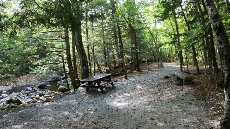 Picnic table at Screw Auger Falls, Maine