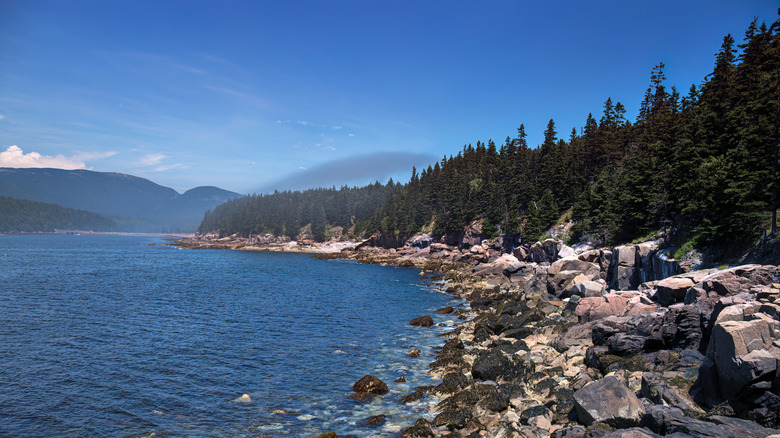 Blue skies over Maine's rocky coastline