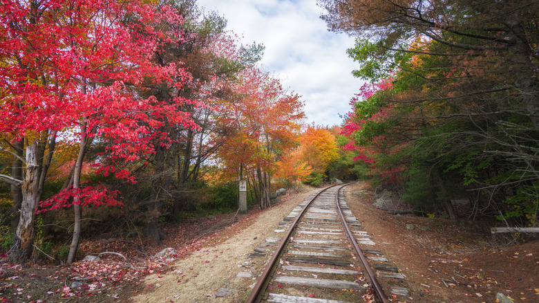 An abandoned railroad in Ellsworth, Maine
