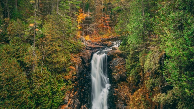 Moxie Falls surrounded by fall foliage