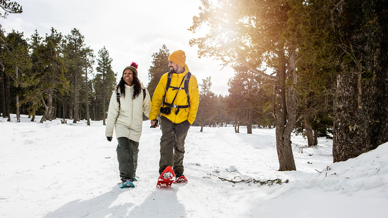 Couple snowshoe hiking in the forest