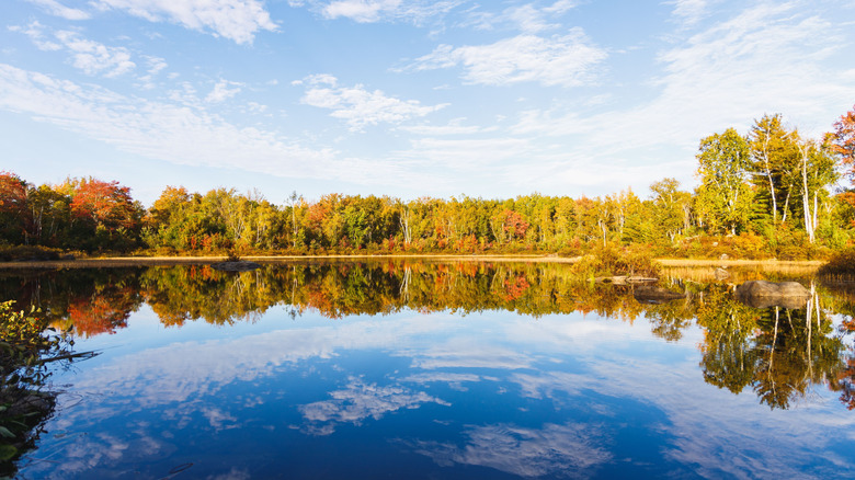 Vose pond with fall colors in Moosehorn National Wildlife Refuge