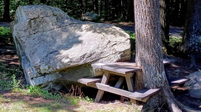 A picnic table sits attached to a massive boulder and a tree, part of an artwork display at Peaks Kenny State Park
