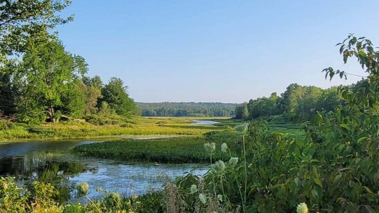 Scenic river view in Brewer, Maine