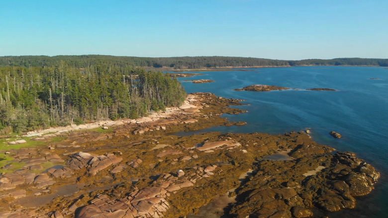 Aerial view of the rocky shore and spruce forest of Buckle Island, Maine
