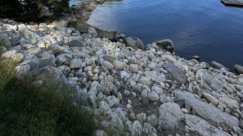 rocks and trees along Sebago Lake's shores in the summer, from Standish, Maine