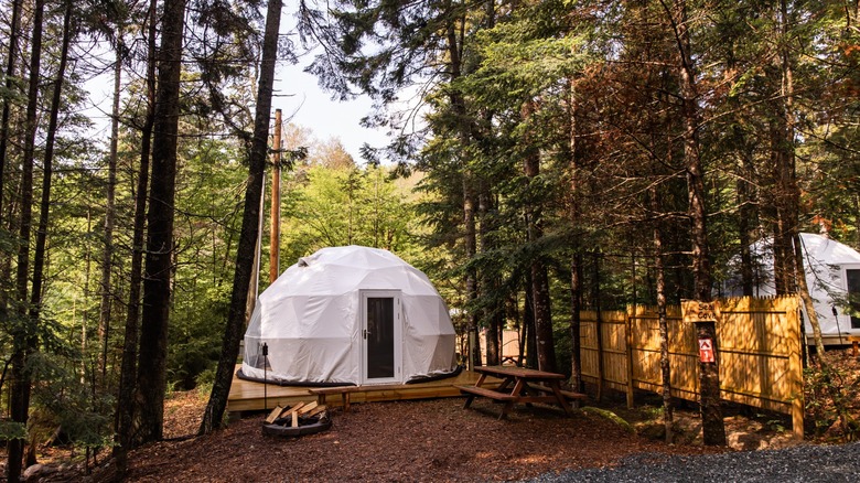 Glamping yurt in the forests of Maine