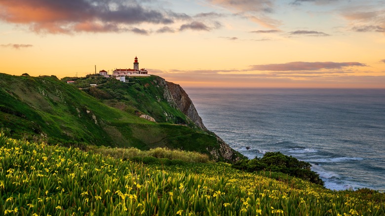 Flowers on cliffs with lighthouse behind at sunset