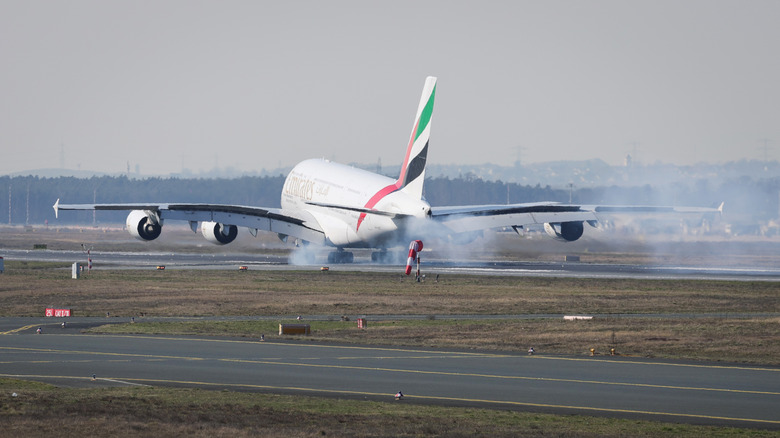 An Emirates plane landing at Dubai International Airport from Germany, one of the first flights after the airport closed.