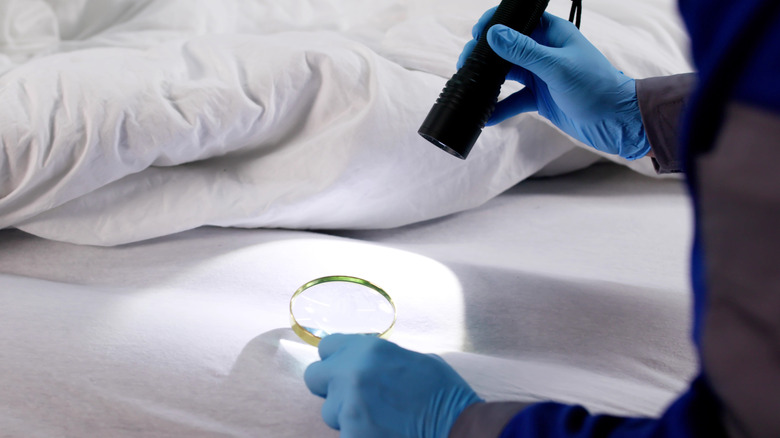 Close-up image of a person wearing blue latex gloves and holding a flashlight and magnifying glass, inspecting a hotel bed's white linens for bedbugs.