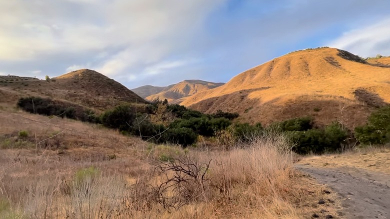 Hills on the Escondido Falls Trail in Malibu, California