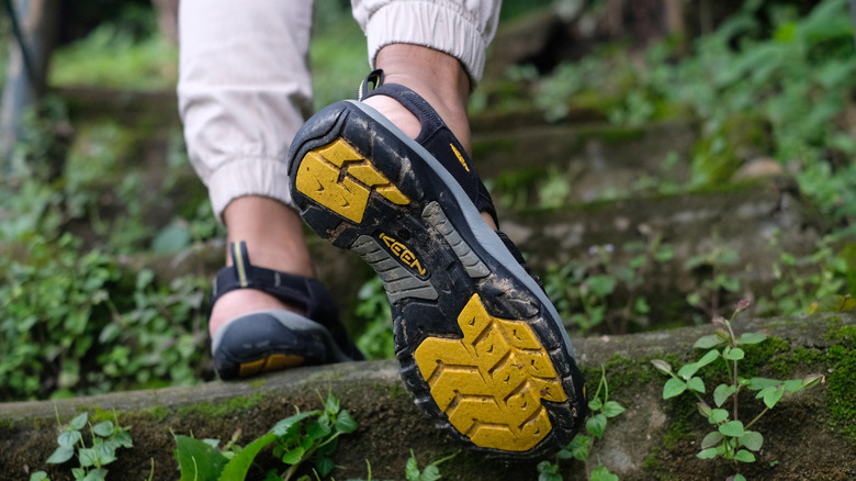 Keen's Newport H2 hiking sandal from behind
