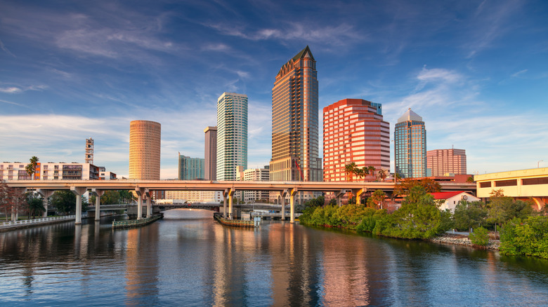 Cityscape view of downtown Tampa, Florida