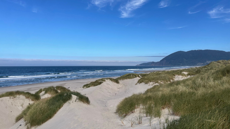 Manzanita Beach, from Nehalem Bay State Park