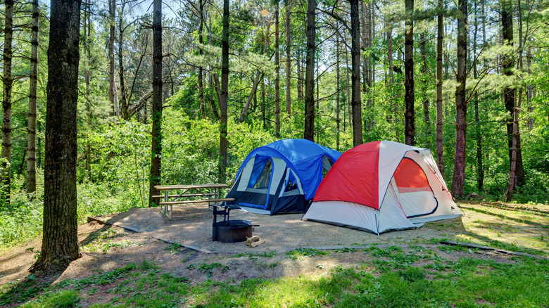 Two tents set up on a campsite at Maquoketa Caves State Park