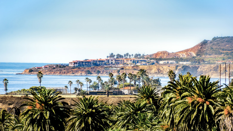 A view of palm trees and the Palos Verdes coastline, with the Terranea Resort in the distance