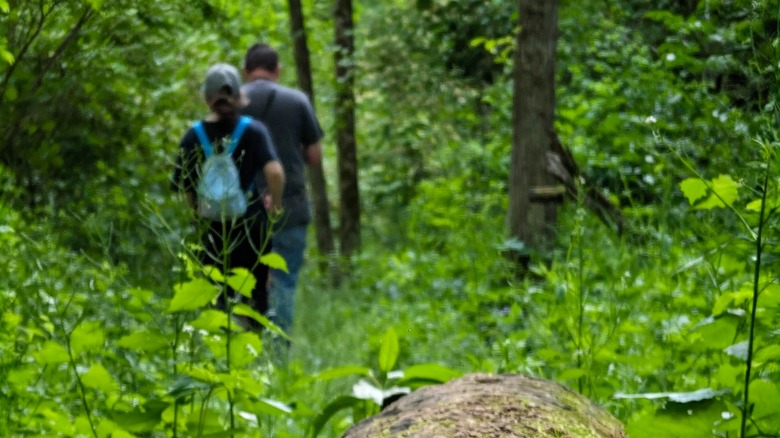 Two hikers walking on a wooded trail at Dirksen Park in Marquette Heights, Illinois.