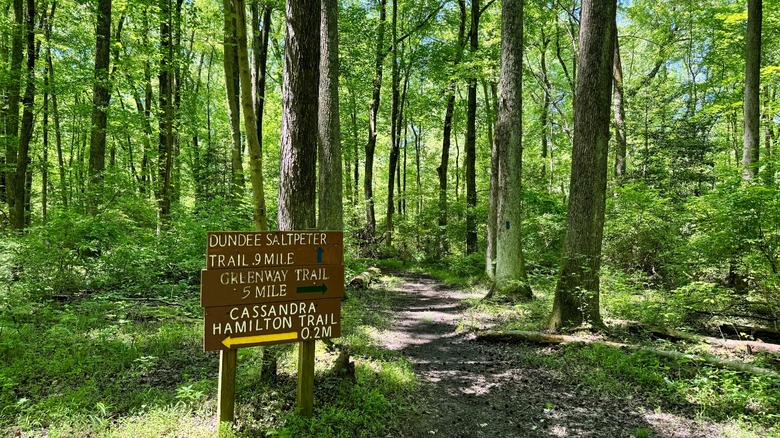 Trail signpost surrounded by a verdant forest at Marshy Point, Maryland, indicating the length and direction of three trails