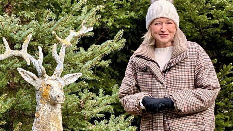 Lifestyle Guru Martha Stewart in Maine