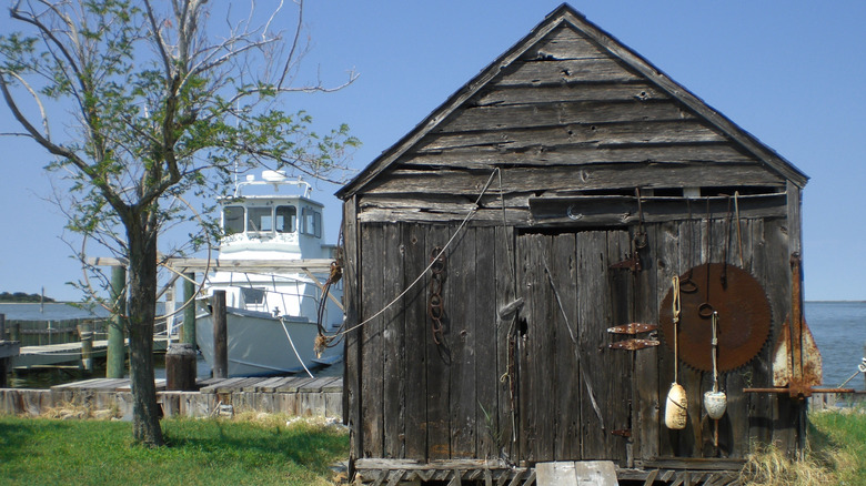 A waterman's shack and a boat on Smith Island