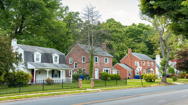 White-walled and brick homes surrounded by trees along a street in Mt. Washington