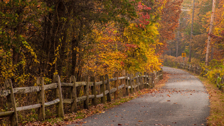 trail in Baltimore and Annapolis trail in fall